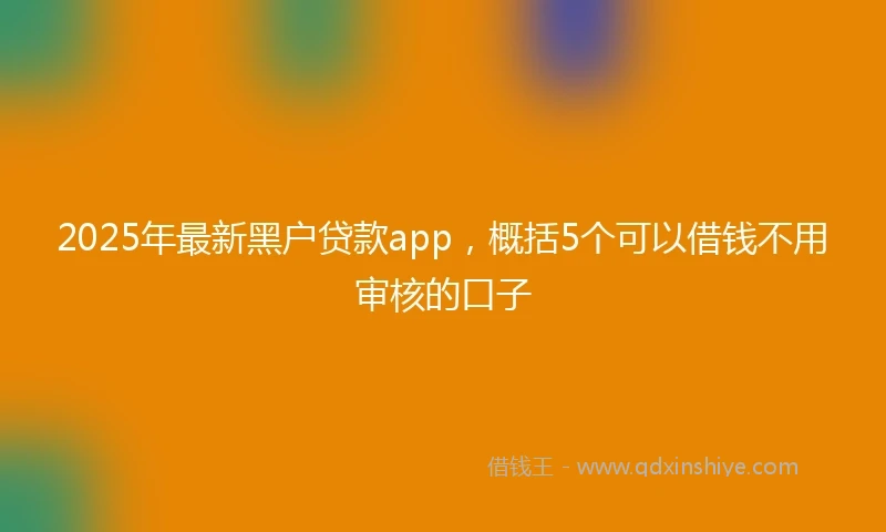 2025年最新黑户贷款app，概括5个可以借钱不用审核的口子