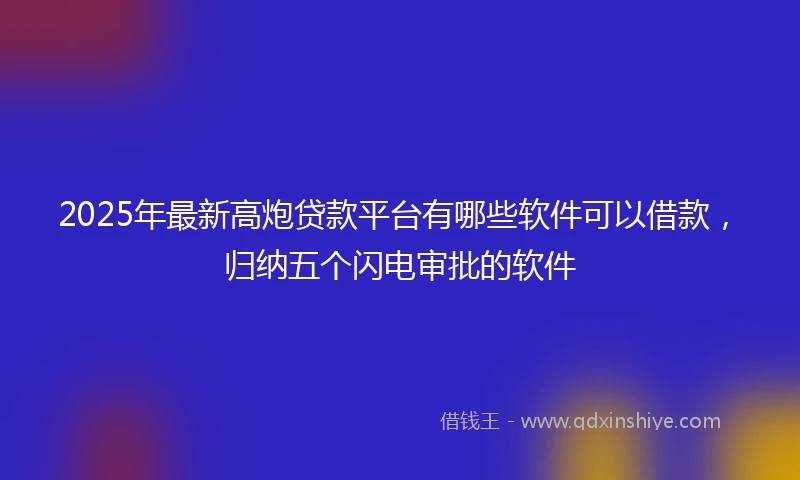 2025年最新高炮贷款平台有哪些软件可以借款，归纳五个闪电审批的软件