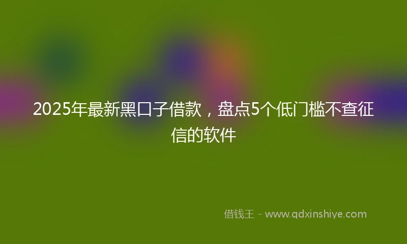2025年最新黑口子借款，盘点5个低门槛不查征信的软件