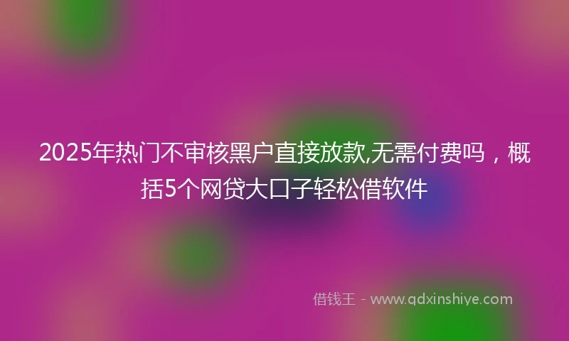2025年热门不审核黑户直接放款,无需付费吗，概括5个网贷大口子轻松借软件