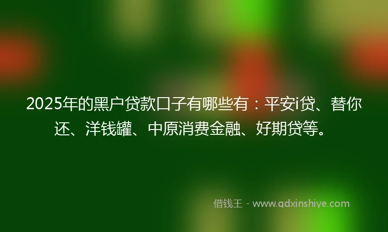 2025年的黑户贷款口子有哪些有：平安i贷、替你还、洋钱罐、中原消费金融、好期贷等。