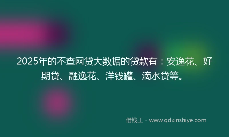 2025年的不查网贷大数据的贷款有：安逸花、好期贷、融逸花、洋钱罐、滴水贷等。