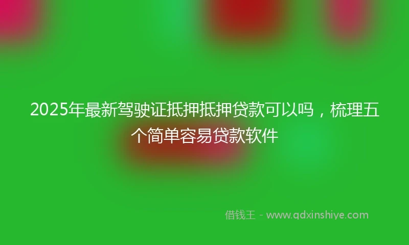 2025年最新驾驶证抵押抵押贷款可以吗，梳理五个简单容易贷款软件
