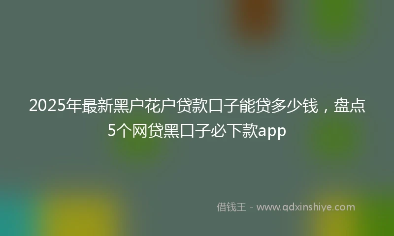 2025年最新黑户花户贷款口子能贷多少钱,盘点5个网贷黑口子必下款app