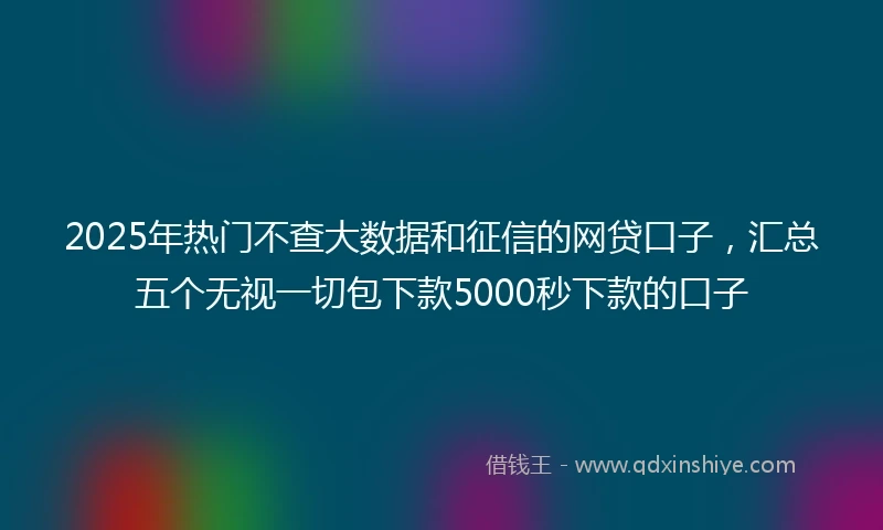 2025年热门不查大数据和征信的网贷口子，汇总五个无视一切包下款5000秒下款的口子