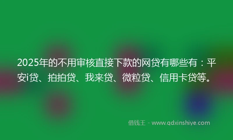 2025年的不用审核直接下款的网贷有哪些有：平安i贷、拍拍贷、我来贷、微粒贷、信用卡贷等。