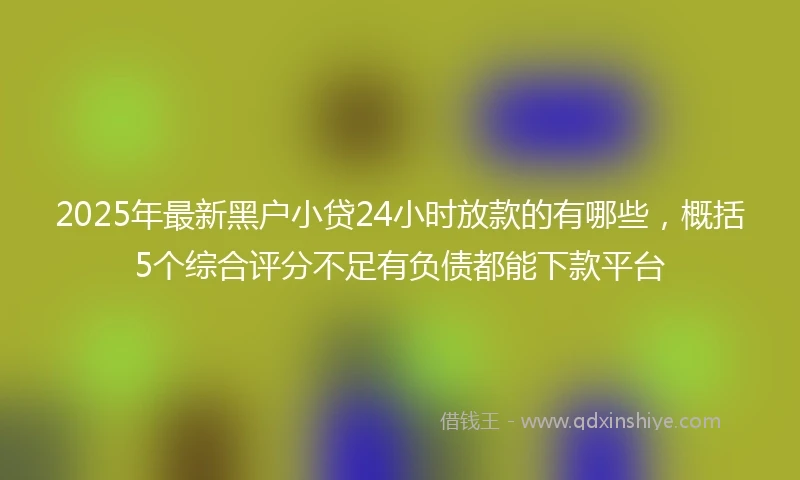 2025年最新黑户小贷24小时放款的有哪些，概括5个综合评分不足有负债都能下款平台