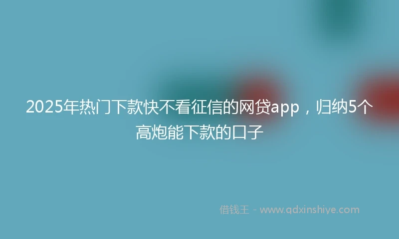 2025年热门下款快不看征信的网贷app，归纳5个高炮能下款的口子