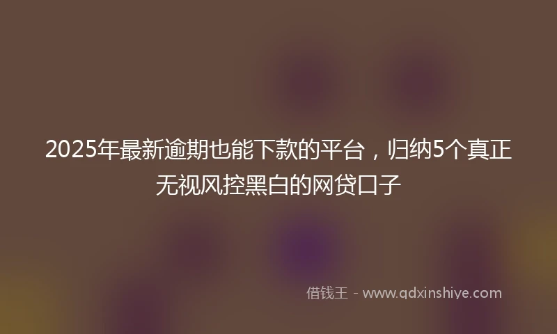 2025年最新逾期也能下款的平台，归纳5个真正无视风控黑白的网贷口子
