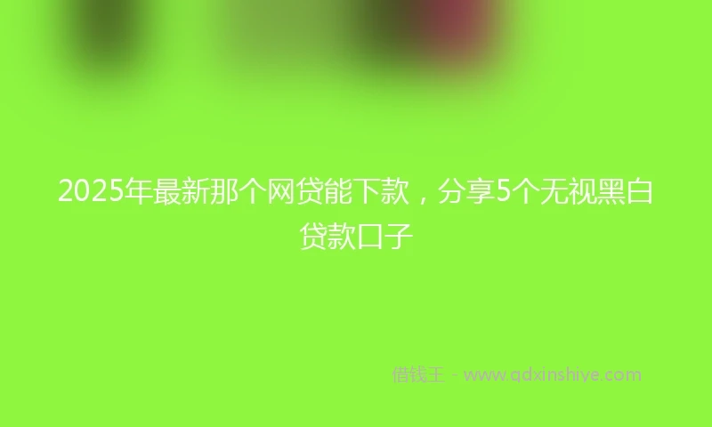 2025年最新那个网贷能下款，分享5个无视黑白贷款口子