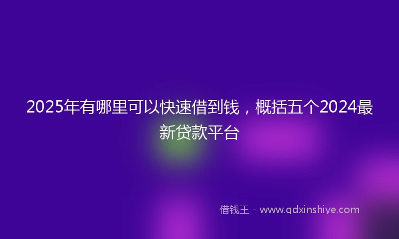 2025年有哪里可以快速借到钱，概括五个2024最新贷款平台