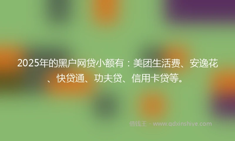 2025年的黑户网贷小额有：美团生活费、安逸花、快贷通、功夫贷、信用卡贷等。