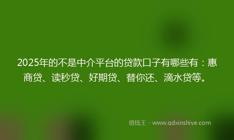 2025年的不是中介平台的贷款口子有哪些有：惠商贷、读秒贷、好期贷、替你还、滴水贷等。