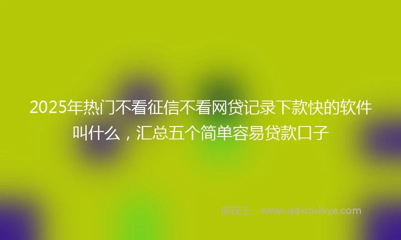 2025年热门不看征信不看网贷记录下款快的软件叫什么,汇总五个简单容易贷款口子