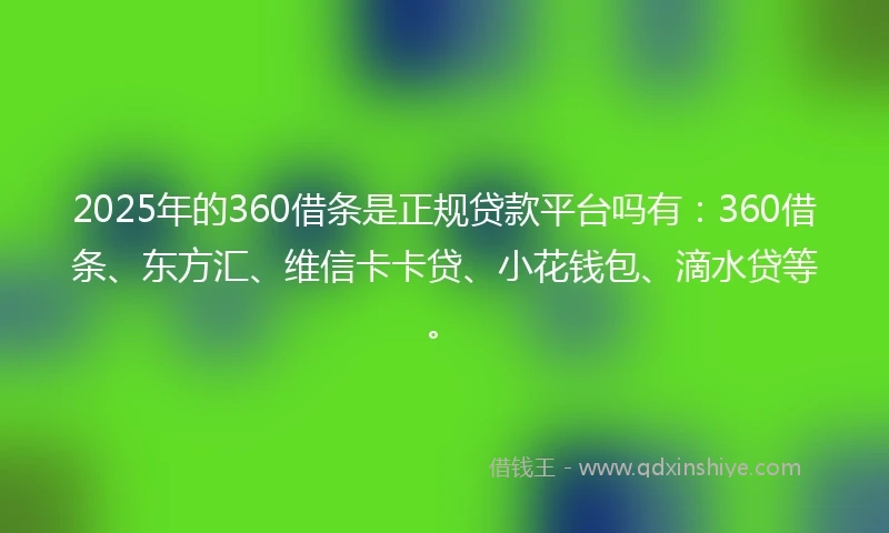 2025年的360借条是正规贷款平台吗有：360借条、东方汇、维信卡卡贷、小花钱包、滴水贷等。
