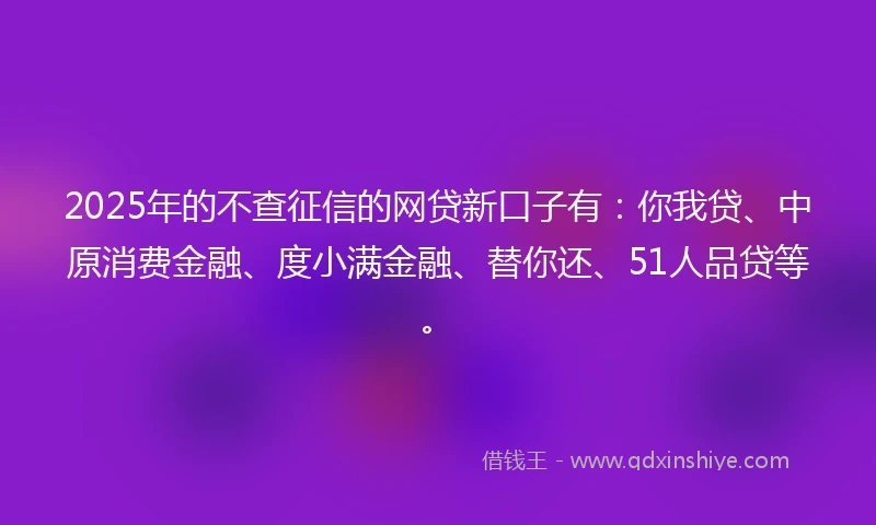 2025年的不查征信的网贷新口子有:你我贷、中原消费金融、度小满金融、替你还、51人品贷等。