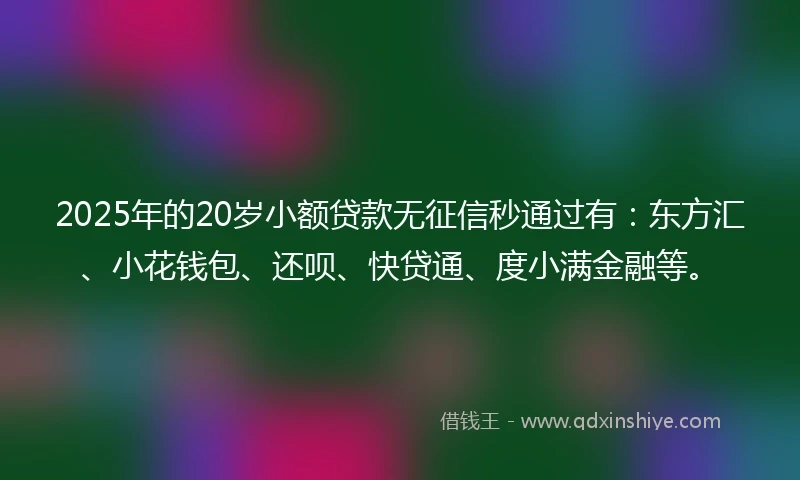 2025年的20岁小额贷款无征信秒通过有:东方汇、小花钱包、还呗、快贷通、度小满金融等。