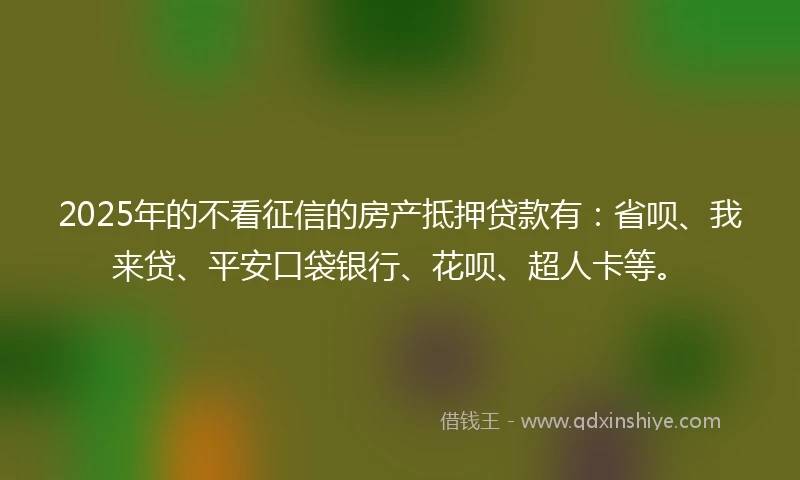 2025年的不看征信的房产抵押贷款有：省呗、我来贷、平安口袋银行、花呗、超人卡等。