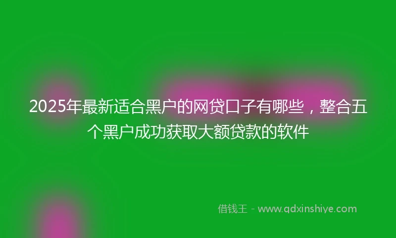 2025年最新适合黑户的网贷口子有哪些，整合五个黑户成功获取大额贷款的软件