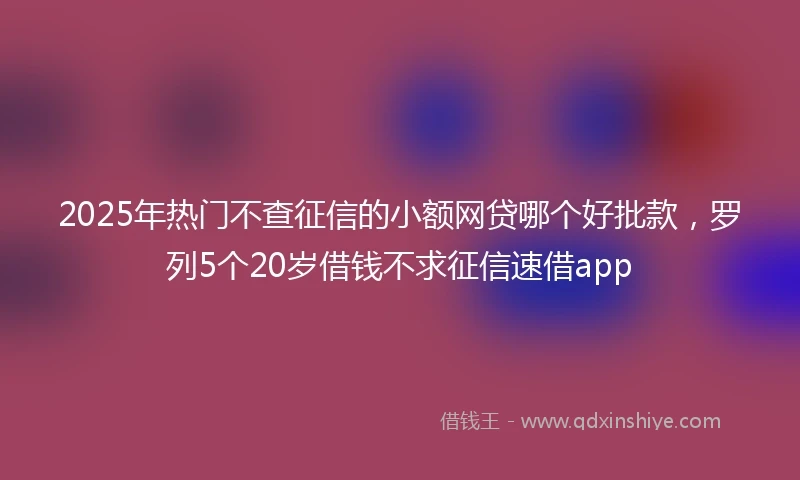 2025年热门不查征信的小额网贷哪个好批款,罗列5个20岁借钱不求征信速借app