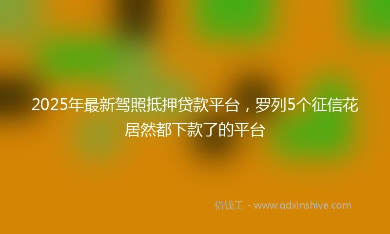 2025年最新驾照抵押贷款平台，罗列5个征信花居然都下款了的平台