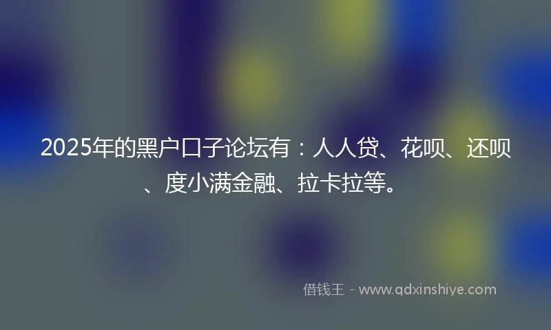 2025年的黑户口子论坛有：人人贷、花呗、还呗、度小满金融、拉卡拉等。