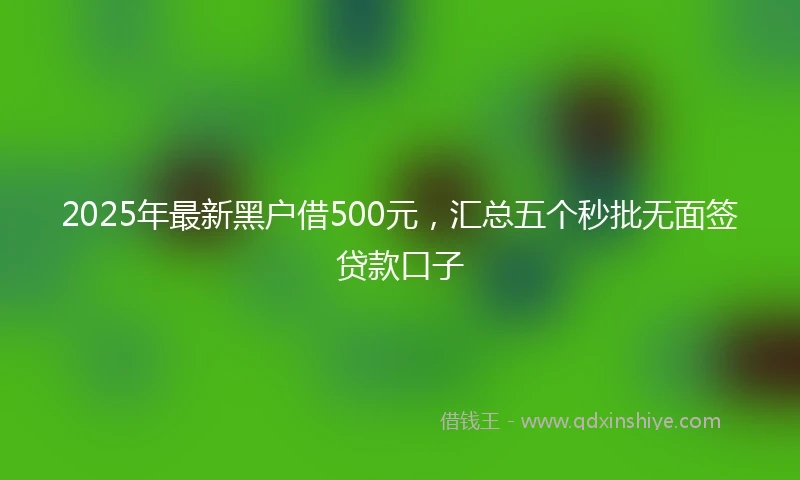 2025年最新黑户借500元，汇总五个秒批无面签贷款口子