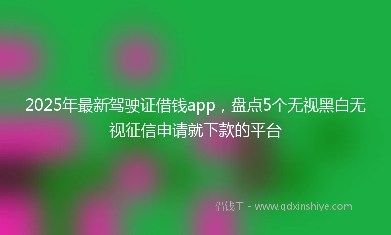 2025年最新驾驶证借钱app，盘点5个无视黑白无视征信申请就下款的平台