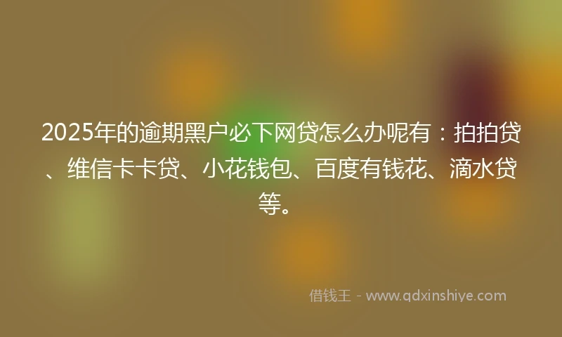 2025年的逾期黑户必下网贷怎么办呢有：拍拍贷、维信卡卡贷、小花钱包、百度有钱花、滴水贷等。