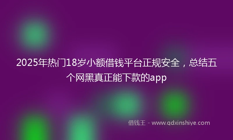2025年热门18岁小额借钱平台正规安全，总结五个网黑真正能下款的app