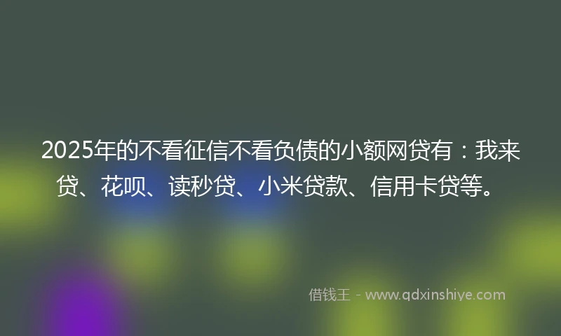 2025年的不看征信不看负债的小额网贷有：我来贷、花呗、读秒贷、小米贷款、信用卡贷等。