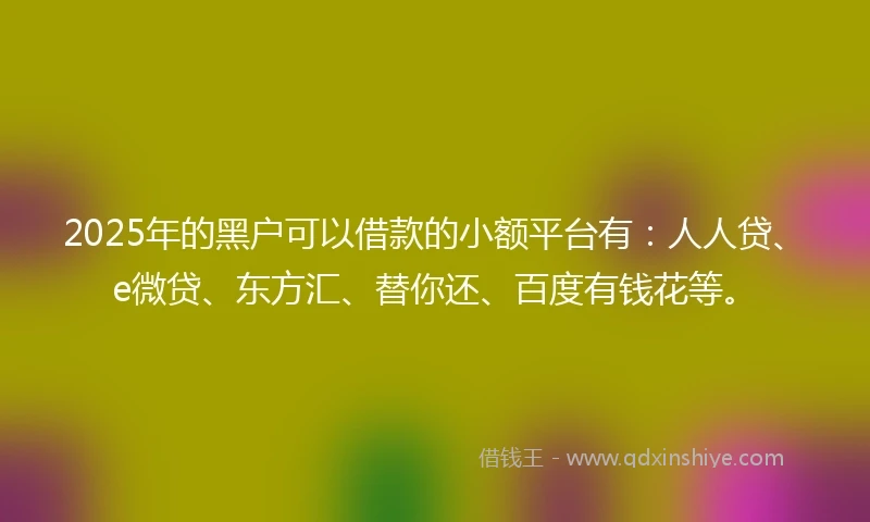 2025年的黑户可以借款的小额平台有：人人贷、e微贷、东方汇、替你还、百度有钱花等。