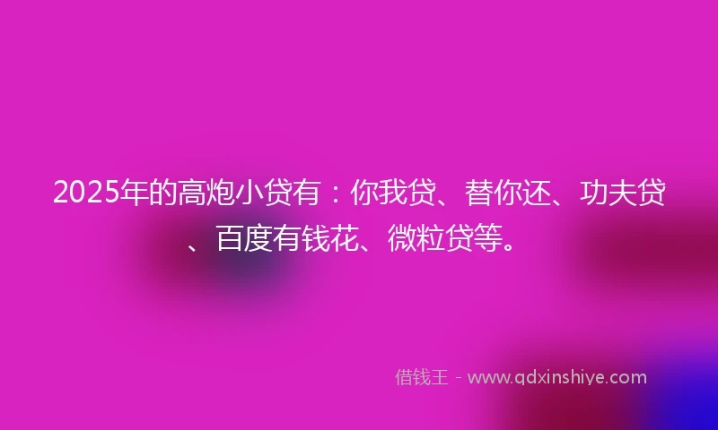 2025年的高炮小贷有：你我贷、替你还、功夫贷、百度有钱花、微粒贷等。