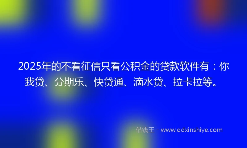 2025年的不看征信只看公积金的贷款软件有：你我贷、分期乐、快贷通、滴水贷、拉卡拉等。