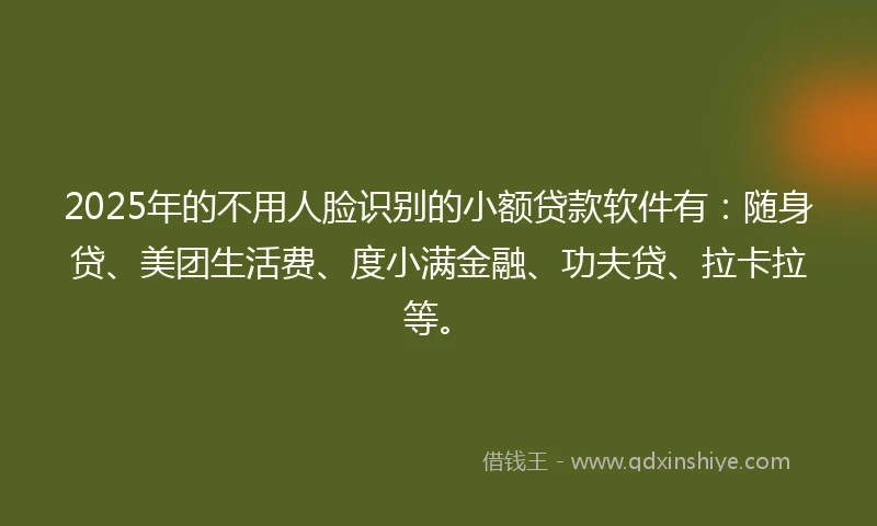 2025年的不用人脸识别的小额贷款软件有：随身贷、美团生活费、度小满金融、功夫贷、拉卡拉等。