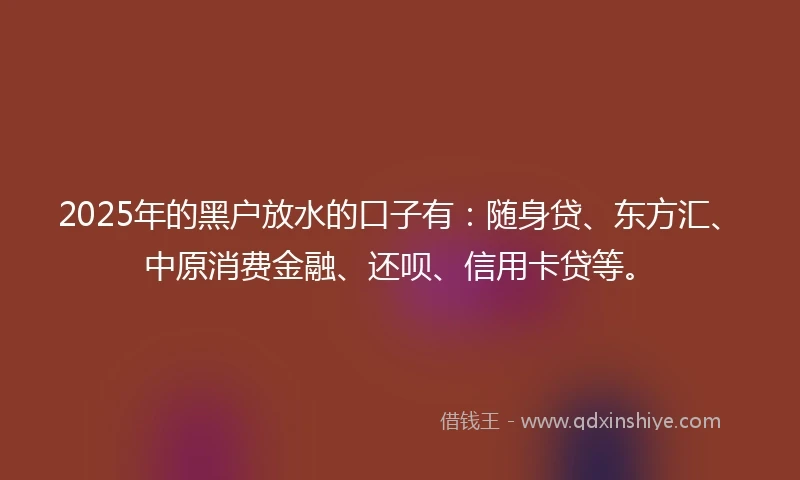 2025年的黑户放水的口子有：随身贷、东方汇、中原消费金融、还呗、信用卡贷等。