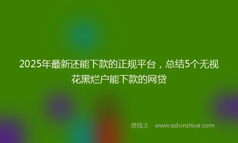 2025年最新还能下款的正规平台,总结5个无视花黑烂户能下款的网贷