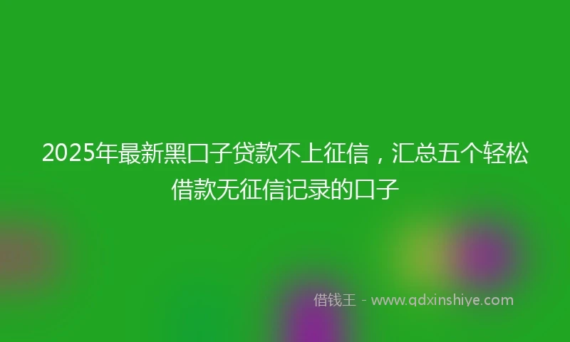 2025年最新黑囗子贷款不上征信，汇总五个轻松借款无征信记录的口子
