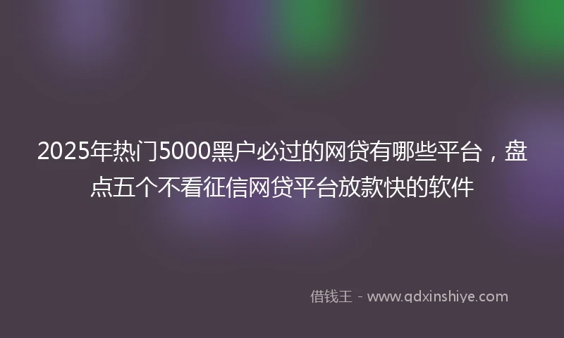 2025年热门5000黑户必过的网贷有哪些平台,盘点五个不看征信网贷平台放款快的软件
