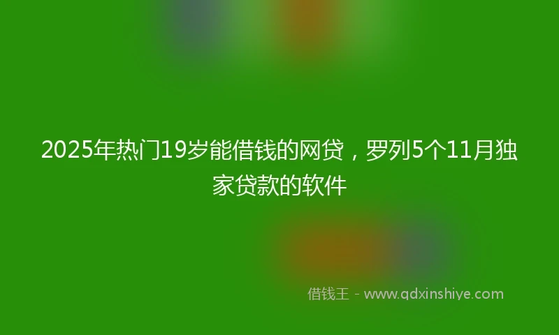 2025年热门19岁能借钱的网贷，罗列5个11月独家贷款的软件