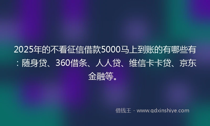 2025年的不看征信借款5000马上到账的有哪些有：随身贷、360借条、人人贷、维信卡卡贷、京东金融等。