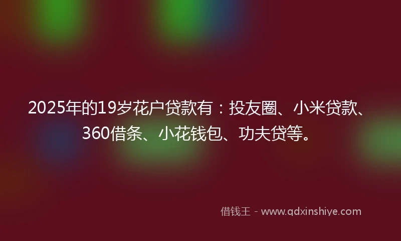 2025年的19岁花户贷款有：投友圈、小米贷款、360借条、小花钱包、功夫贷等。