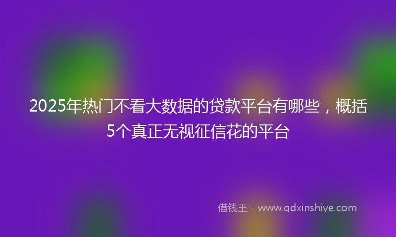 2025年热门不看大数据的贷款平台有哪些，概括5个真正无视征信花的平台