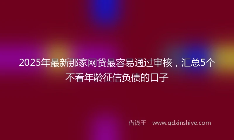 2025年最新那家网贷最容易通过审核，汇总5个不看年龄征信负债的口子