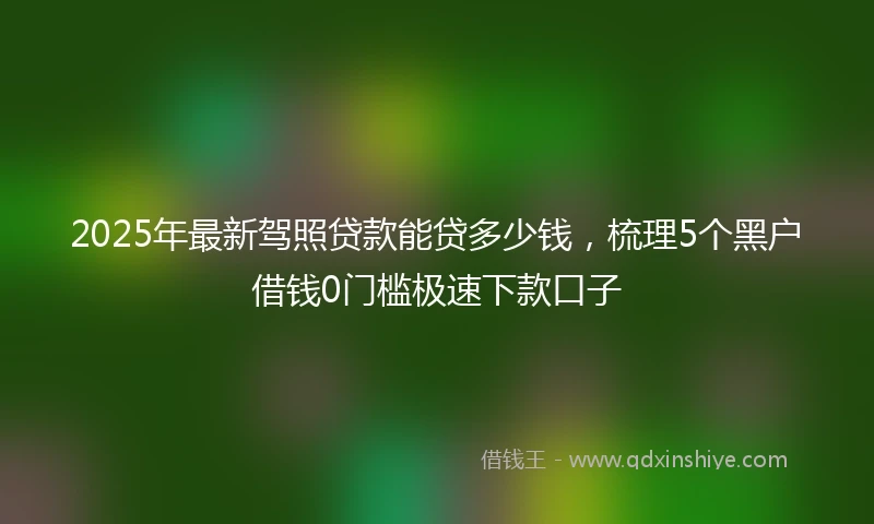2025年最新驾照贷款能贷多少钱，梳理5个黑户借钱0门槛极速下款口子