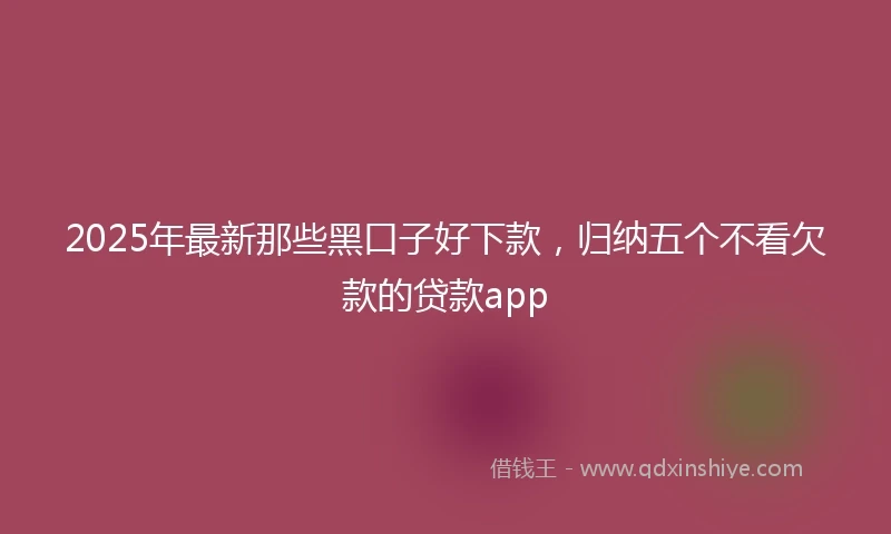 2025年最新那些黑口子好下款，归纳五个不看欠款的贷款app