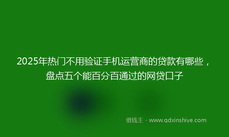 2025年热门不用验证手机运营商的贷款有哪些，盘点五个能百分百通过的网贷口子