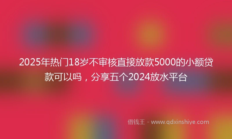 2025年热门18岁不审核直接放款5000的小额贷款可以吗，分享五个2024放水平台