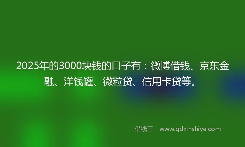 2025年的3000块钱的口子有：微博借钱、京东金融、洋钱罐、微粒贷、信用卡贷等。