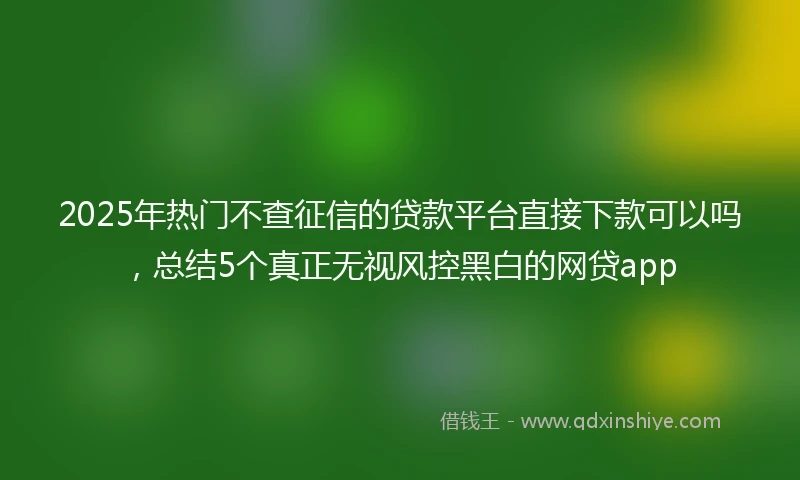 2025年热门不查征信的贷款平台直接下款可以吗,总结5个真正无视风控黑白的网贷app